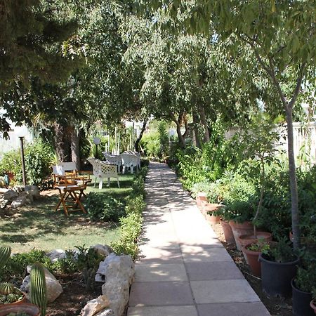 B&B Solacium Матера Екстер'єр фото